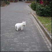 DSC07234.JPG