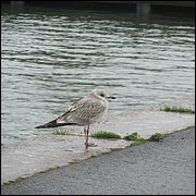 IMG_4160.JPG