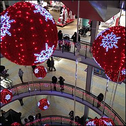IMG_2441.JPG