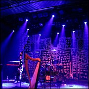 IMG_5170.JPG