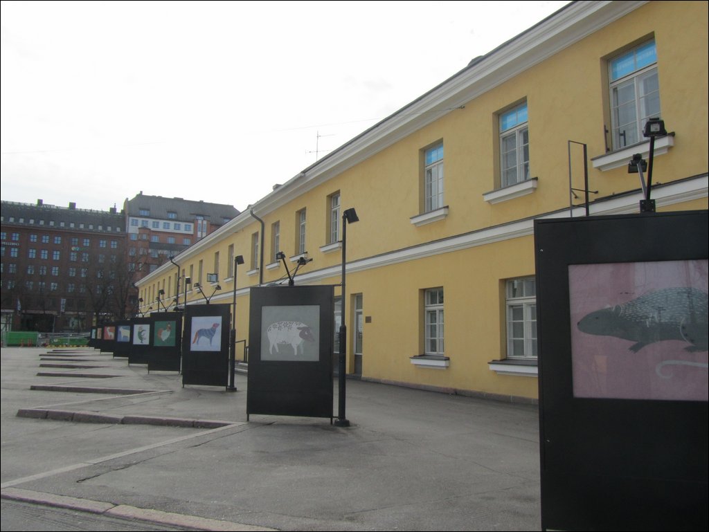 IMG_6965.JPG