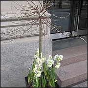 IMG_6938.JPG