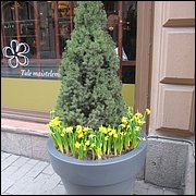 IMG_6951.JPG
