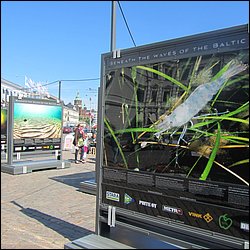 IMG_8599.JPG
