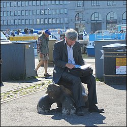 IMG_8606.JPG