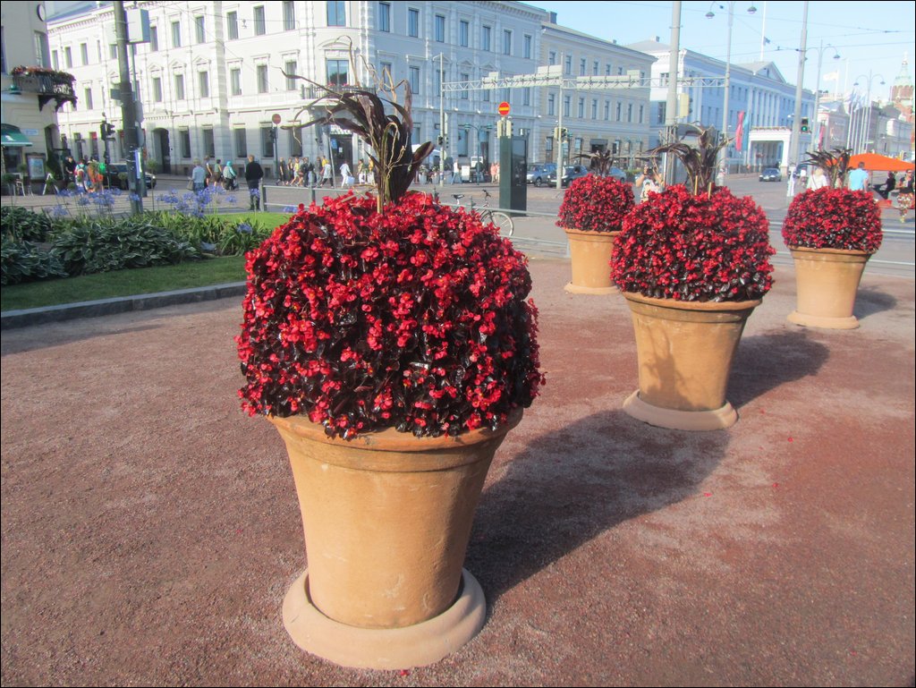 IMG_9966.JPG