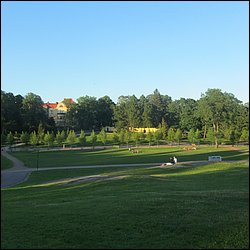 IMG_0006.JPG