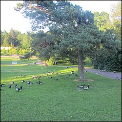 IMG_0010.JPG
