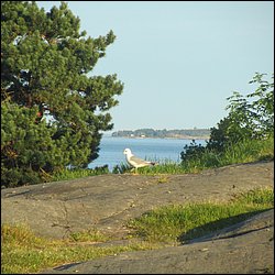 IMG_0013.JPG