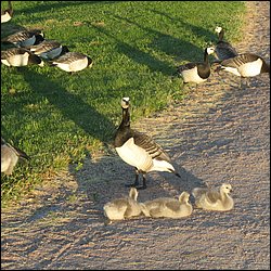 IMG_0019.JPG