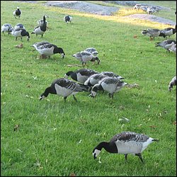 IMG_0029.JPG