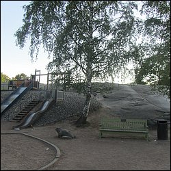IMG_0035.JPG