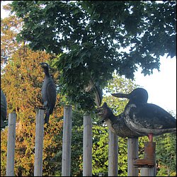 IMG_0041.JPG