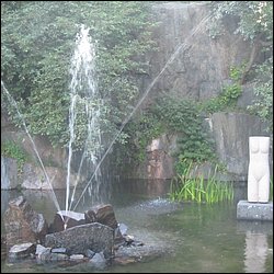 IMG_0044.JPG