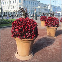 IMG_9966.JPG