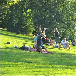 IMG_9987.JPG