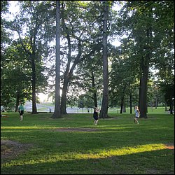 IMG_9996.JPG