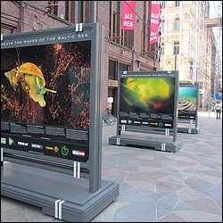 IMG_0744.JPG