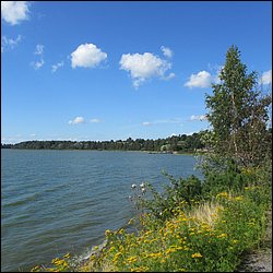 IMG_0914.JPG