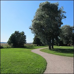 IMG_0925.JPG