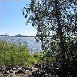 IMG_0931.JPG