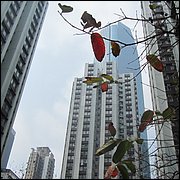 IMG_2254.JPG