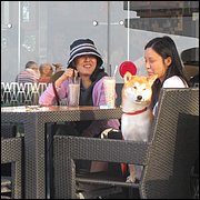 IMG_2320.JPG