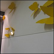 IMG_2405.JPG