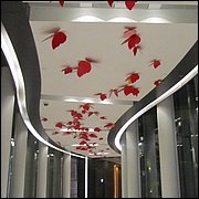 IMG_2406.JPG