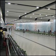 IMG_2420.JPG
