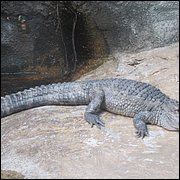 IMG_2509.JPG