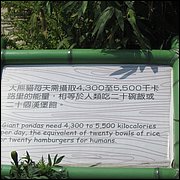 IMG_2582.JPG