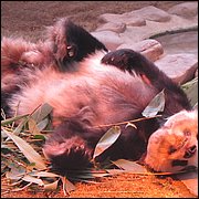 IMG_2585.JPG