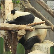 IMG_2588.JPG