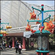 IMG_2593.JPG