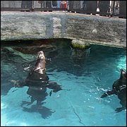 IMG_2617.JPG