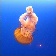 IMG_2629.JPG