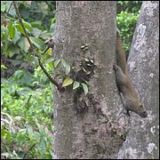 IMG_2691.JPG