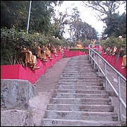 IMG_2693.JPG