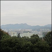 IMG_2708.JPG