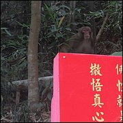 IMG_2722.JPG
