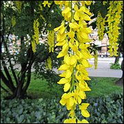IMG_0289.JPG