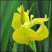 IMG_0325.JPG