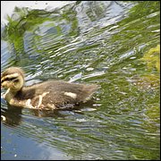 IMG_0326.JPG