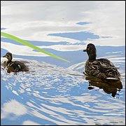 IMG_0327.JPG