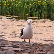 IMG_0330.JPG