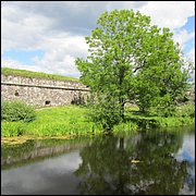IMG_0333.JPG