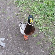 IMG_0341.JPG