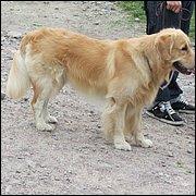 IMG_0345.JPG