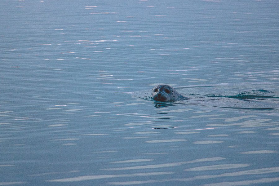 IMG_6551